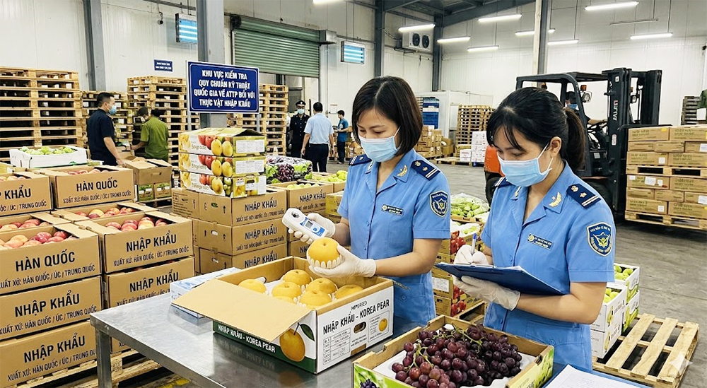 Siết Chặt "Bữa Ăn Gia Đình" Mùa Cao Điểm: Hà Nội Quyết Tâm Đẩy Lùi Nông Sản Bẩn Cuối Năm 2026