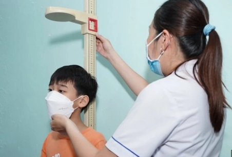 Người Việt Nam cao thứ mấy ở Đông Nam Á?