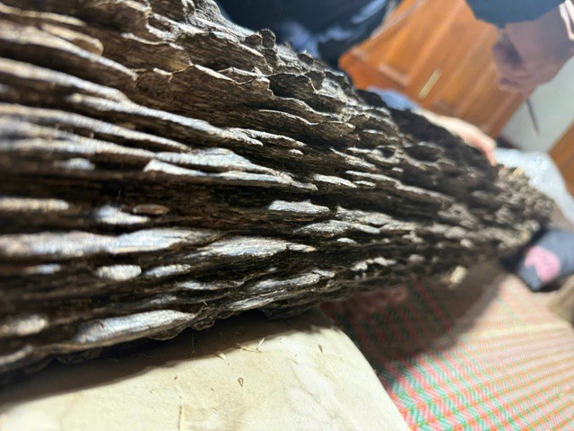 Khúc gỗ quý hiếm được trả giá hơn 600 triệu đồng gia chủ chưa bán